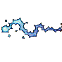 spell